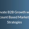 Elevate B2B Growth with Account Based Marketing Strategies