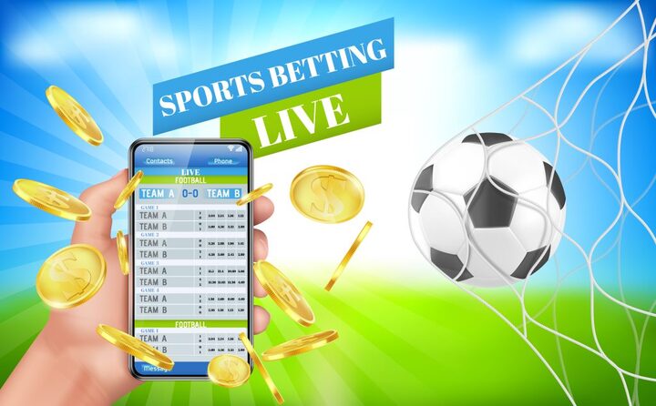 Your Ultimate Guide to Top Cricket Betting ID Providers in India 