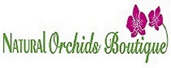 The Best Orchid Delivery Services in Miami - Natural Orchids Boutique