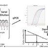 Yeast DNA Residue Assay Kits (qPCR) for Biological Research