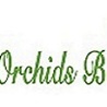 The Best Orchid Delivery Services in Miami - Natural Orchids Boutique