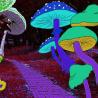 Magic Mushrooms And Creativity