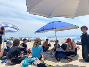 Make Waves with Santa Monica Surf Lessons