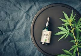 What Google Can Teach You About Cbd Oil