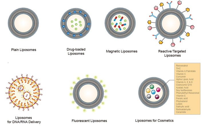 Liposomes for Food Applications