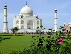 Taj Mahal Day tour by India taj tours Company.                  