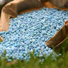 Unleashing the Potential of Your Lawn with Fertilization Services