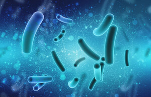 Microbiome Sequencing Services Market Research Report, Trends, Share, Size, Growth and Forecast 2021-2026