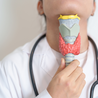 Thyroid Function Tests: What You Need to Know Before Visiting the Best Thyroid Hospital
