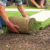 Professional Turf Installation Services in Sydney for Lasting Results