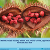 Annatto Market 2023 | Industry Share, Trends, Growth and Forecast 2028