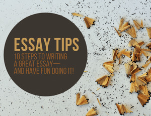 Types of Writing Services offered by Top 10 Essay writing companies in the USA