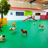 Dubai&#039;s Affordable Dog Boarding: Reliable and Cost-Effective