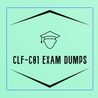 CLF-C01 Exam Dumps reading this review shows