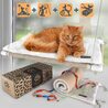 How to Choose the Best Cat Window Perches
