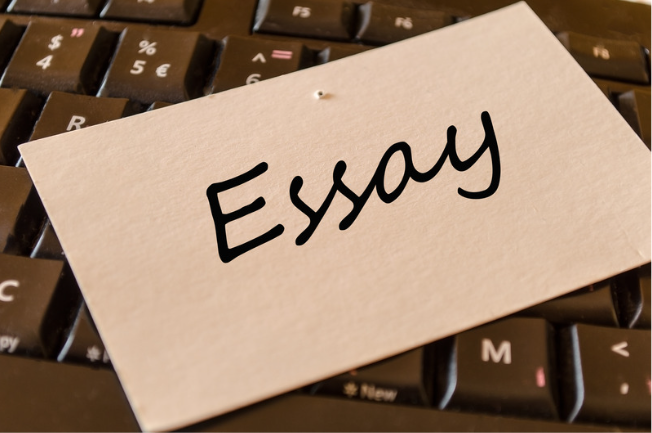 3 Best Essay Writing Services in 2023-2024