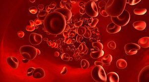 Anticoagulants Market Report Size, Share, Growth, Trends and Forecast 2021-2026