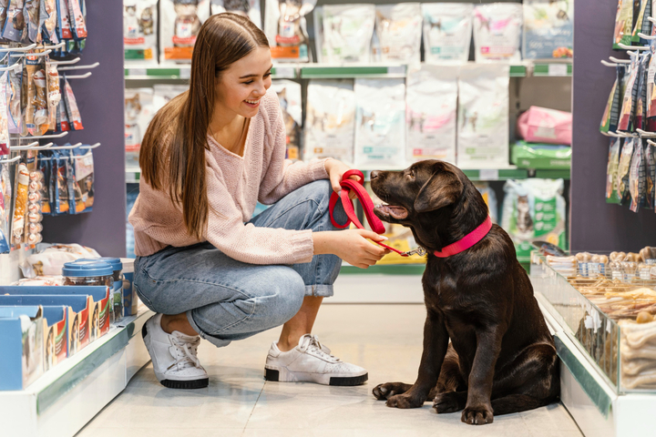 How to Choose the Best Female Dog Diapers for Your Pet