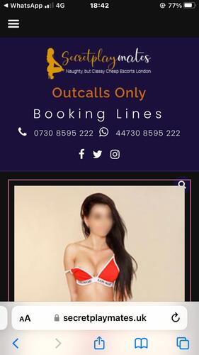 Unlocking Affordability and Class: Discover Buckinghamshire Escorts with Secret Playmates