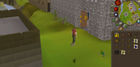  The general public of the OSRS gold time