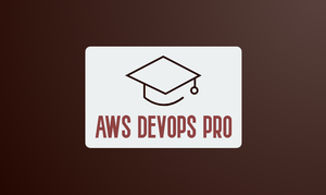 AWS Devops Pro know-how in dealing 