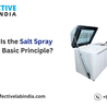What Is the Salt Spray Test\u2019s Basic Principle?