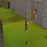  The general public of the OSRS gold time