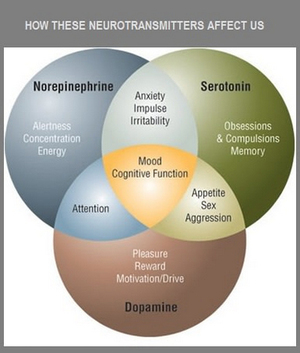 What Is Brain Balance and Its Importance 