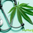 Quickly Get a New York Medical Marijuana Card Online