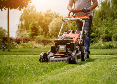 What to Look for in Lawn Mowing Services in Wellington: A Homeowner’s Guide