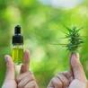 Everything You Need to Know about CBD