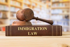 Understanding Visa Fraud: Common Immigration Crimes in Texas