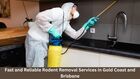 Fast and Reliable Rodent Removal Services in Gold Coast and Brisbane