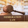 Understanding Visa Fraud: Common Immigration Crimes in Texas