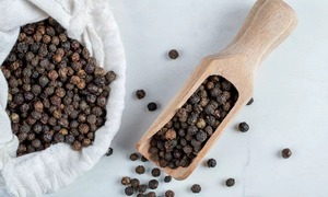 Black Pepper Powder Manufacturing Plant Project Report 2024: Investment Opportunities and Industry Trends