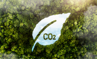 Why Eco-Friendly Packaging Matters for Indian Consumers