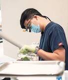 What Are the Most Common Dental Procedures?