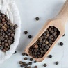 Black Pepper Powder Manufacturing Plant Project Report 2024: Investment Opportunities and Industry Trends