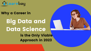 Why a Career in Big Data and Data Science is the Only Viable Approach in 2023