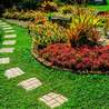 Debunking Some Common Myths about Landscaping