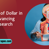  Mesothelioma and the Power of United States Dollar in Advancing Research