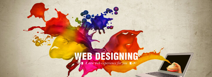 Best Website Designing Company in Delhi NCR