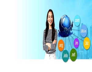 Website Developer in Bilaspur