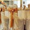 Must-haves Before Embarking On Chair Cover Rentals