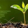Improve your environmental business of ISO 14001 Certification in Saudi Arabia?