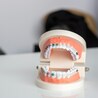 How Often Should You Visit Your Surrey Hills Dentist?