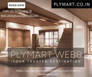 Exploring the Excellence of Flush Door Plywood in Hyderabad: Plymart.co&#039;s Premium Offerings
