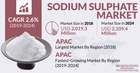 How is Increasing Demand for Powdered Detergents Fuelling Growth of Global Sodium Sulphate Market?
