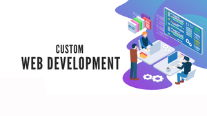 The Benefits of Partnering with a Trusted Custom Web Portal Development Company in Delhi