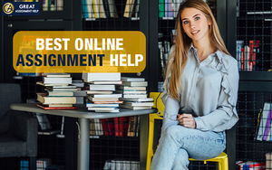 Assignment Help USA: A Guide for Students